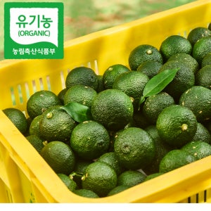 고흥 유기농 청유자 500g, 1kg, 3kg [생산자판매]