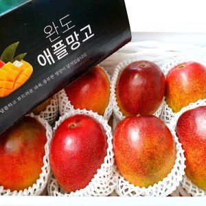 달콤달콤 완도애플망고 당도보장 농장직송 특상품 3kg
