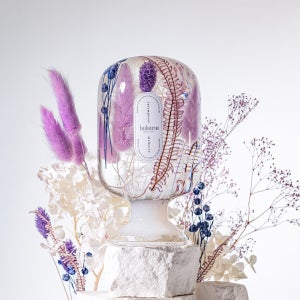 후후루 리콘느- 시그니처 플랜트 오브제 라그라스 식물 무드등 축하 꽃 하바리움 선물