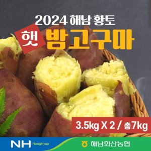 해남고구마 최저가 가성비상품