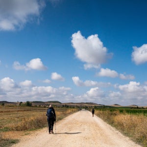 산티아고 순례길 프랑스길 21일 300km 하프코스 매달 출발 / 인솔자 동행