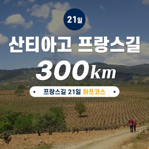 산티아고 순례길 프랑스길 21일 300km 하프코스 매달 출발 / 인솔자 동행