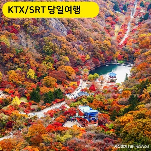 KTX 가을맞이 1식제공 내장산 익산미륵사지 조선8경 오색단풍명소 당일 기차여행