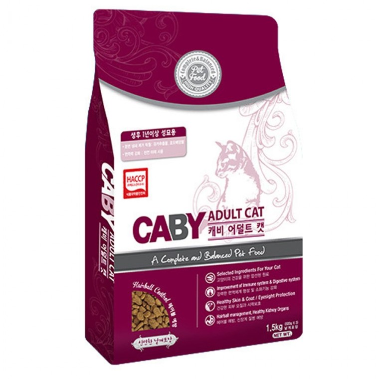 Abyssinian Cat (아비시니안 고양이)