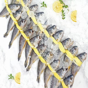 영광 굴비 법성포 가정용 20마리 프리미엄 선물세트