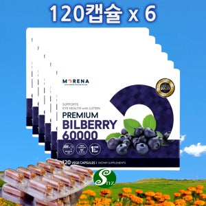 모레나 뉴질랜드 빌베리 60000 루테인 25mg 추출물 120캡슐, 6개