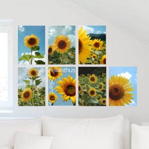 감성 해바라기 풍수 인테리어 9종 포스터모음(A4, A3, A2, 50x70)