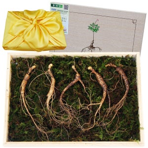 아리아리산삼 10년근 5뿌리 산양삼 장뇌삼 산양산삼 자연산 선물세트