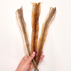 강아지 장어 10+1 수제간식 통장어 순살장어 노견 보양식 육포 대형견 특식 반려견 애견