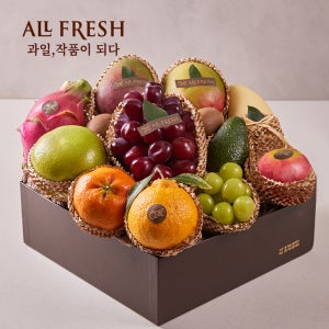 프리미엄 과일선물세트 12종 시그니처 2호(샤인머스켓, 망고 외) 4.9kg 이상