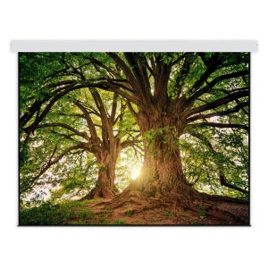 다바라 빔프로젝터 전동 대형 스크린 매립형 200인치 250인치 300인치