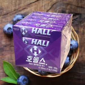 호올스 스틱 블루베리 27.9g 20개 목캔디 금연사탕 HALLS 캔디 사탕 운전 간식