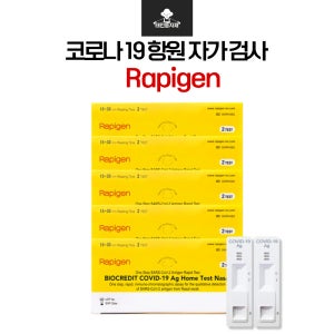 래피젠 코로나 자가 진단 검사키트 5박스 10개입