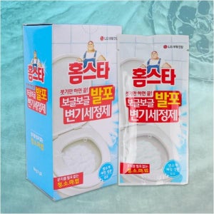 홈스타 화장실 변기 청소 분말 세정제 발포 가루 거품 크리너 세척제 3포