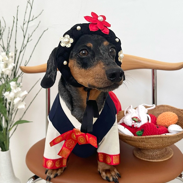 추석포토존 강아지유치원 어린이집 미용실 포토존 아이템 한복 가채 S