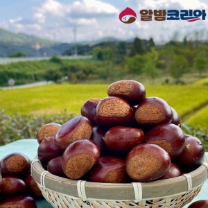 25년 공주밤 햇밤 알밤 생율 왕밤 정안밤 군밤 4kg