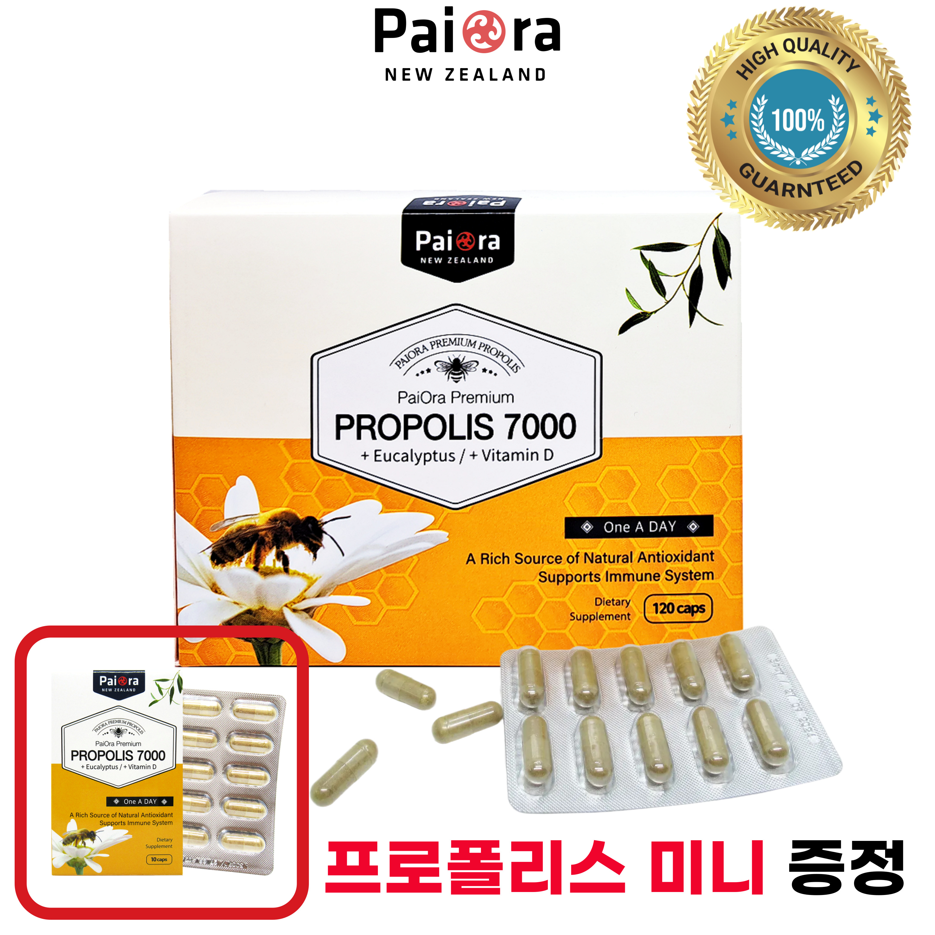 파이오라 뉴질랜드 <b>프로폴리스</b> 7000 플라보노이드 유칼립투스 120캡슐, 1개