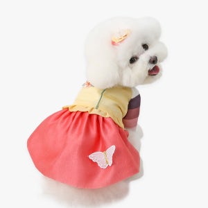 이츠독 다민 아기씨한복S 강아지 예쁜한복 명절맞이 강아지옷