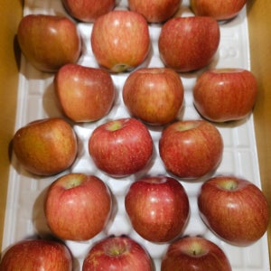 햇 부사 사과 5kg 10kg 특품