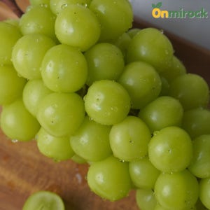 온미락 영천 초아농원 샤인머스캣 실중량 2kg 고당도 상품 특품 산지직송