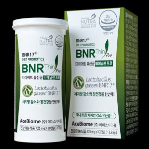 bnr17유산균 최저가 가성비상품