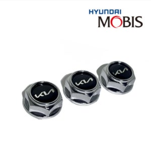 신형 기아 번호판볼트 08C0710061