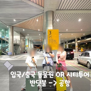 코타키나발루 출국 시티투어or록카위 동물원 + 반딧불투어 마사지 or 공항 일일 패키지
