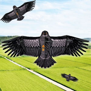 독수리연 4m세트 폴대포함 농작물보호 조류퇴치 연 새 비행 민속놀이 소형