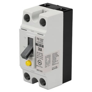 태성 누전차단기 산업용 TBE 32 TCE 32H 2P 30A 2.5KA