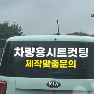 차량용스티커 시트컷팅 차량글씨 자동차 화물차 스크래치 초보운전 로고 차량용 주문제작