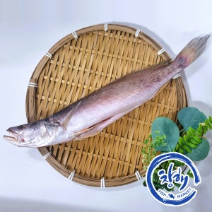 반건조생선 민어조기 뽀족조기 제수용 생일상 선물용 명절선물 명절생선 영상가이석태