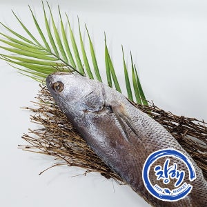 국산 참민어 반건조생선 제수용 명절생선 여수민어 선물용 생일상 찜 탕