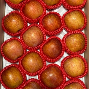 경북 청송 안동 시나노골드 부사 빨간 황금 노란 사과 2kg 5kg 10kg 가정용 못난이흠과 특품 한박스