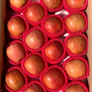 경북 청송 안동 부사 빨간 사과 햇 2kg 5kg 10kg 가정용 못난이흠과 특품 한박스