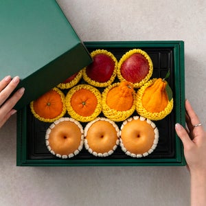 혼합 과일선물세트 사과배 한라봉 레드향 제수용 선물용 설 명절