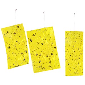 초파리트랩 권연벌레퇴치 대용량 사각 벌레 끈끈이