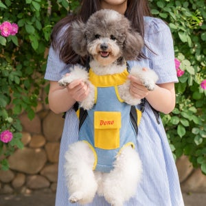 고냥냥 강아지 고양이 포대기 가방 케이지 슬링백
