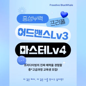 대구,포항,구미 프리다이빙 AIDA ,PADI, SSI,PSA 어드밴스+마스터 프리다이버 레벨3+4/보조강사 자격증 교육/강습/전국