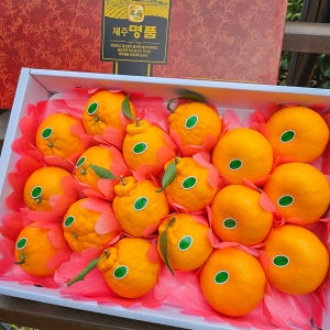 명절 추석 설날 혼합 과일 선물세트 귤 한라봉 천혜향 레드향