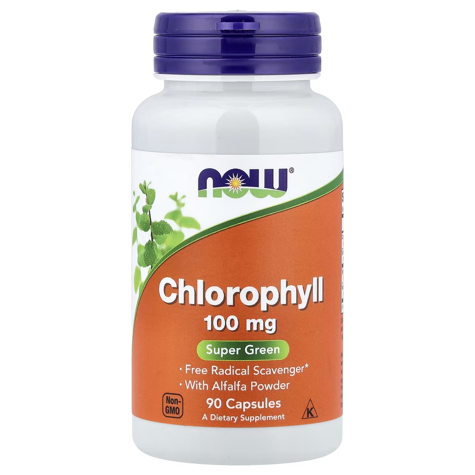 나우푸드 클로로필 <b>엽록소</b> 100mg 90캡슐 NOW Foods Chlorophyll