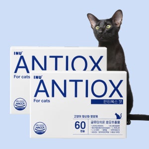 [아이누] 안티옥스 캣 60캡슐 고양이 항산화제 노묘 영양제 2박스
