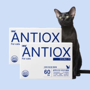 [아이누] 안티옥스 캣 60캡슐 고양이 항산화제 노묘 영양제 2박스