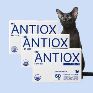 [아이누] 안티옥스 캣 60캡슐 고양이 항산화제 노묘 영양제 3박스