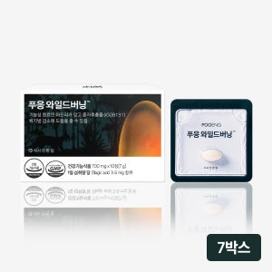 닥터블릿 푸응 와일드버닝 와일드망고 체지방 감소 다이어트 보조제 10캡슐, 7개