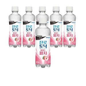 하이트진로 토닉워터 와일드피치 300ml 24개