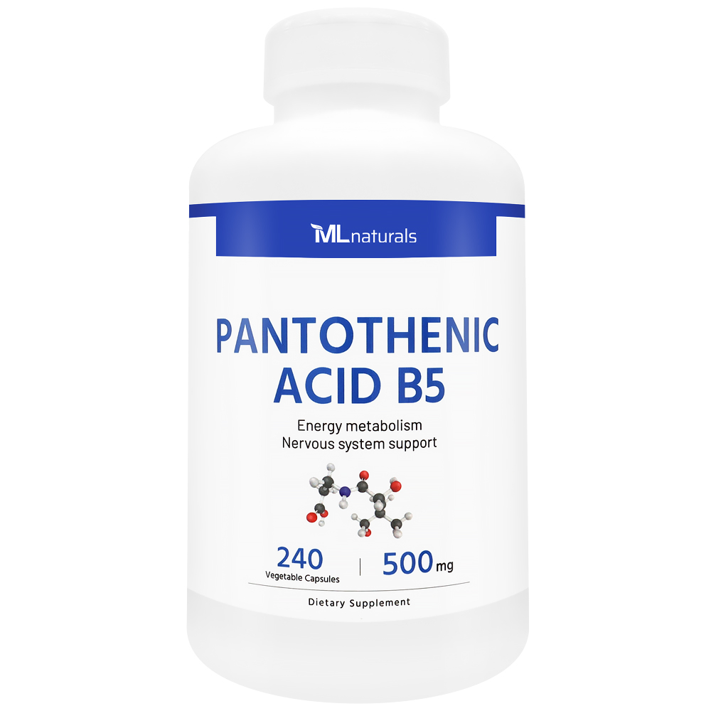 마이라이프 내추럴스 판토텐산 B5 알약 500mg 240캡슐, 1개