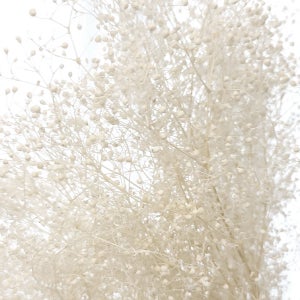 미니 안개 대용량 생화 프리저브드 보존화 플라워 수업 재료