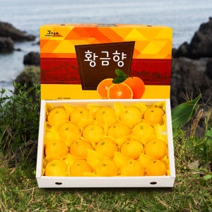 [농할20%] 제주 황금향 3kg 5kg