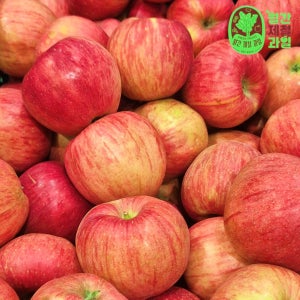 청송 안동 문경 부사사과 엔비 5kg10kg