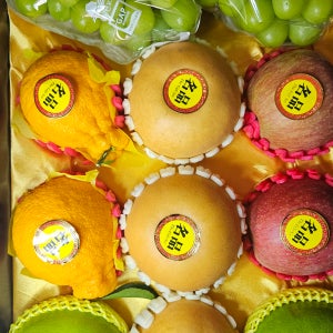 과일선물세트 프리미엄 VIP선물 코리아넘버원마켓